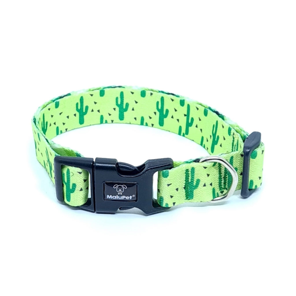 Coleira para Cachorro Ajustável Verde Cactos