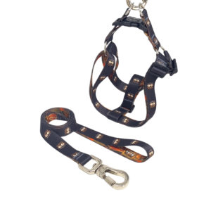 Coleira Peitoral Americano Pet e Guia com Trava de Segurança Preta Route 66
