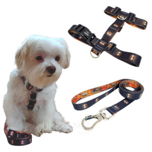 Coleira Peitoral Pet H Anti-Puxão e Guia com Trava de Segurança Preta Route 66