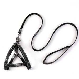 Coleira Peitoral Americano Pet com Guia Preto Estrelinha