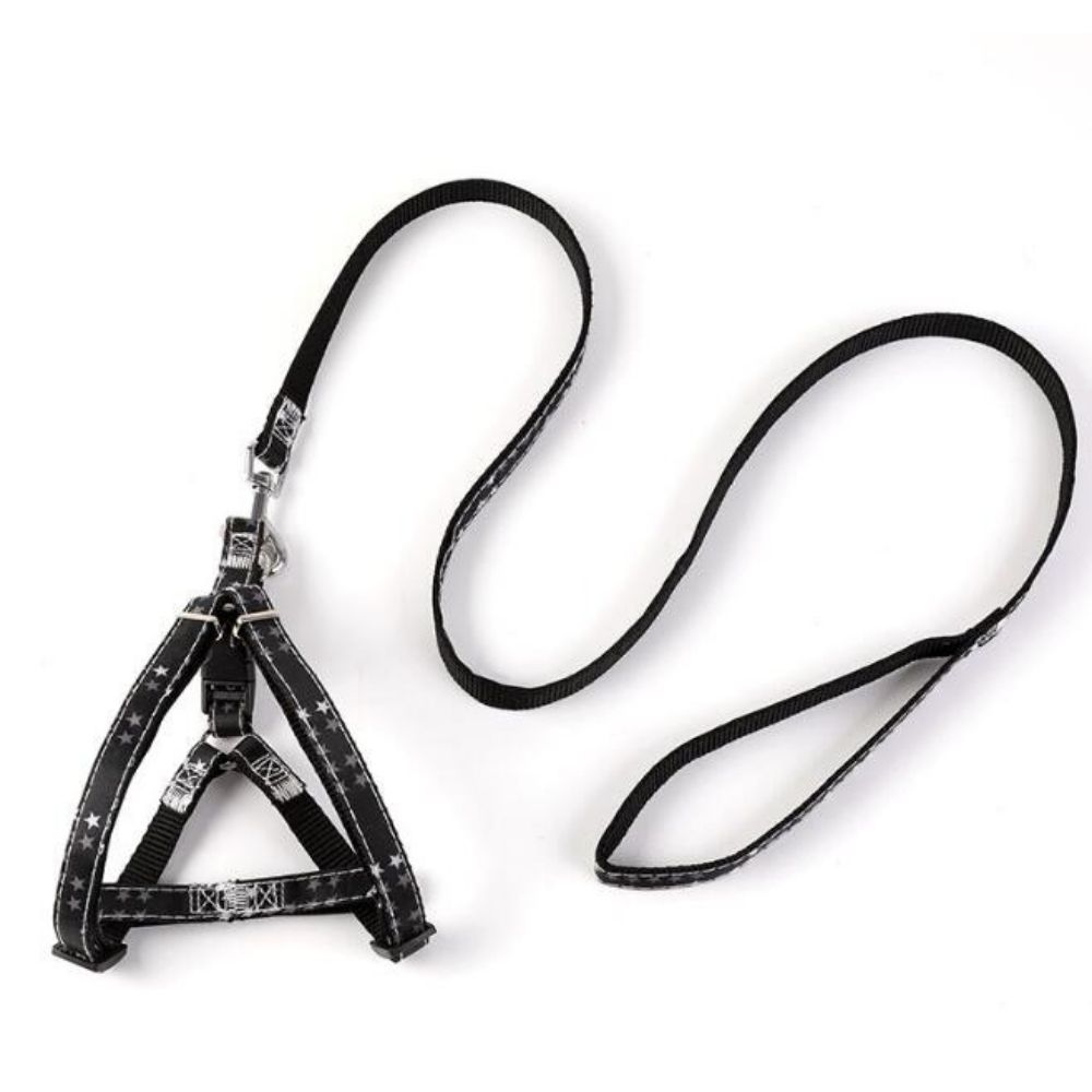 Coleira Peitoral Americano Pet com Guia Preto Estrelinha