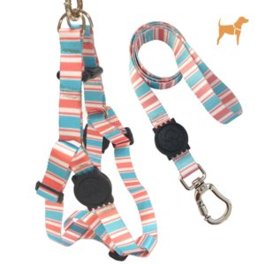 Peitoral Americano para Cachorro com Guia e Trava Listras Azul e Verde