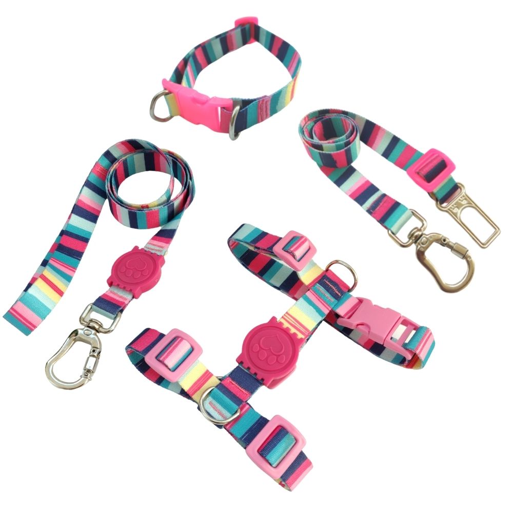 Kit Coleira Peitoral H Antipuxão Guia e Cinto Cachorro Listras Rosas