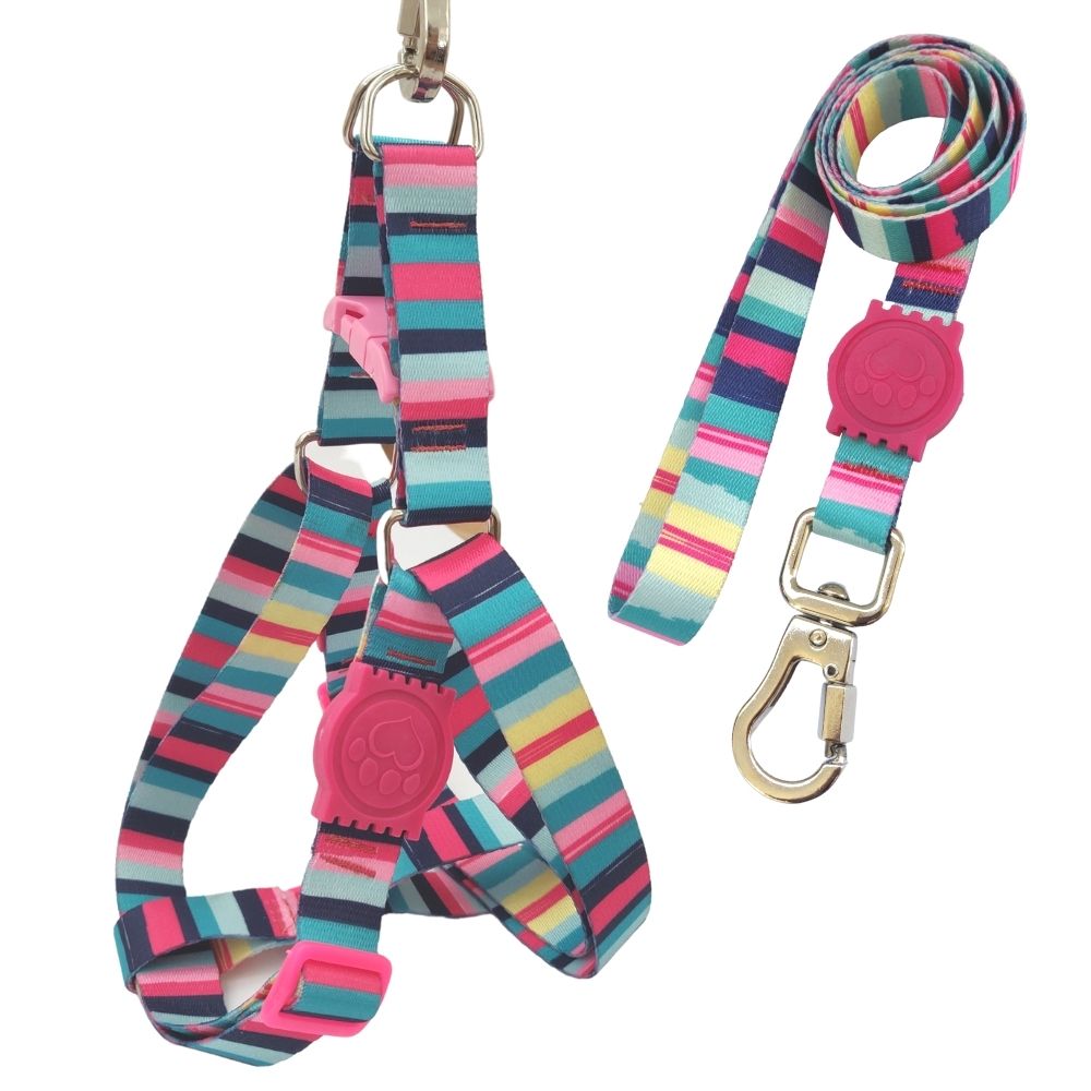Coleira Peitoral Americano para Cachorro com Guia Listras Rosas