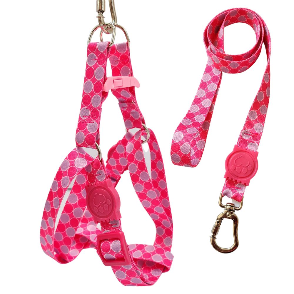 Coleira Peitoral Americano para Cachorro com Guia Rosa Bolinha