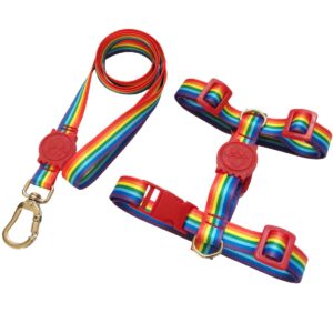 Peitoral H Antipuxão Para Cachorro com Guia e Trava Arco Íris
